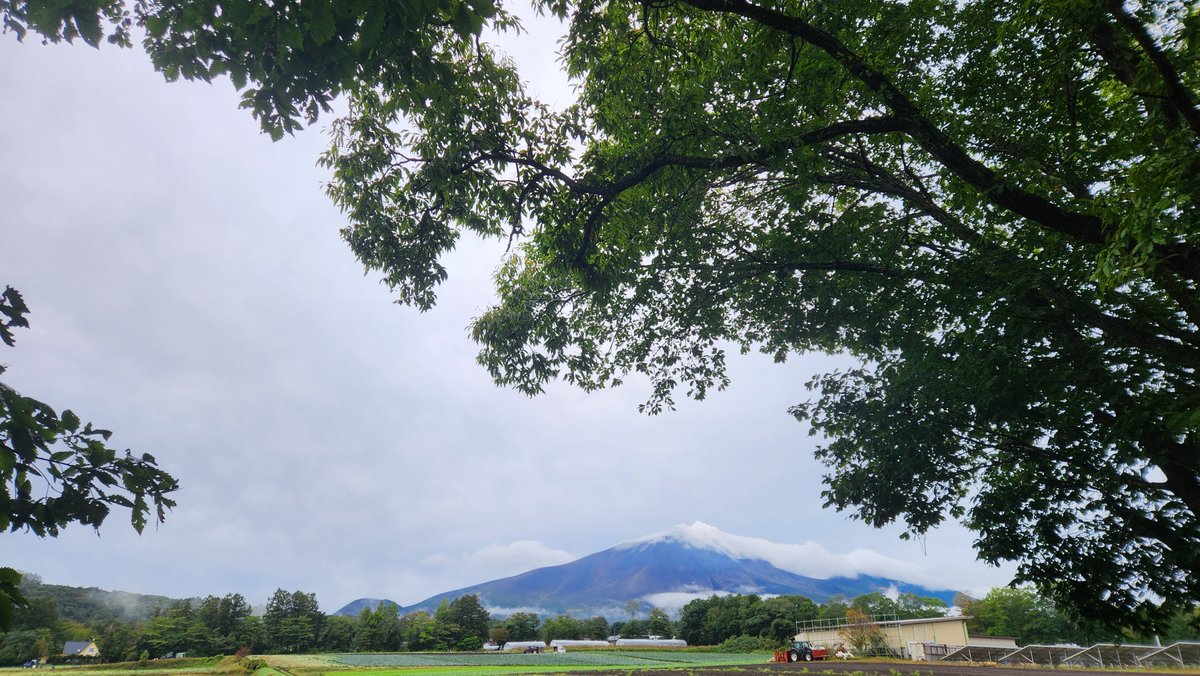 AkahaCamp's tweet photo. 浅間山を望んでおはようございます！

 #フリーサイトベース北軽井沢 https://t.co/fJpcU7Tae3