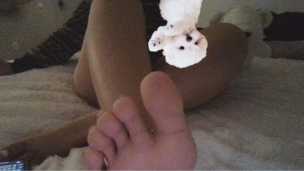 pupeeys's tweet photo. *Paws at u* #nsfwtwt https://t.co/0WKYUEjYTh