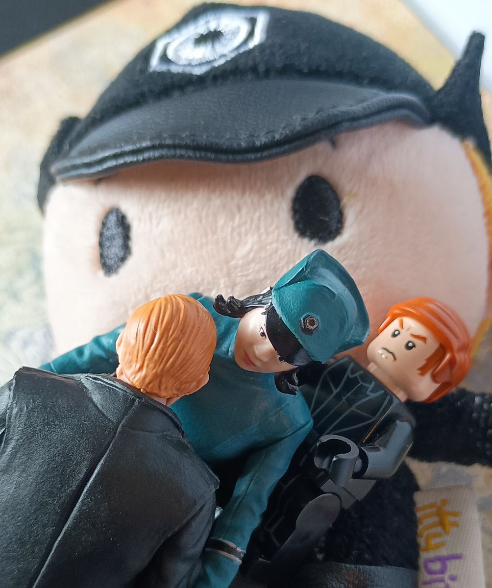 lam3borghini's tweet photo. She can't find a minute's peace with these boys!!! #GingerRose #RoseTico #GeneralHux https://t.co/5wbHsGEzbC