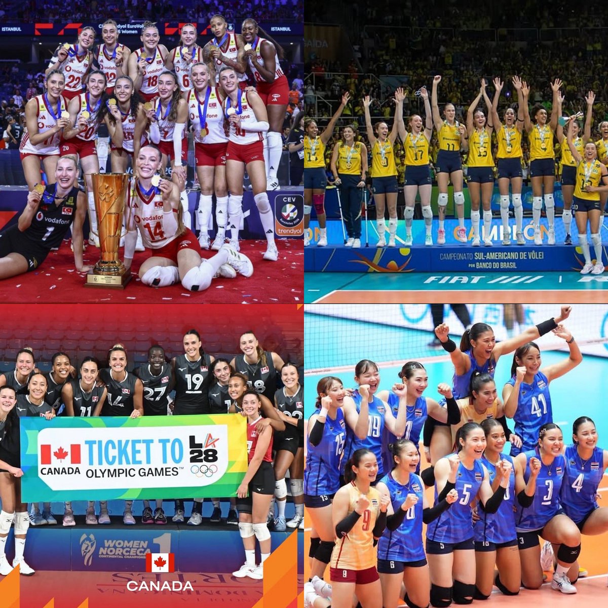 Limite_Volei tweet picture