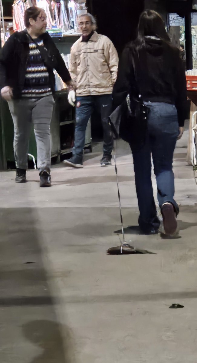 marianoemartin's tweet photo. Feria de Parque Rivadavia, recién: 

-¿Estás paseando un pescado? 
-Sí. 
-Pero está muerto. 
-No, se llama Tania y tiene seis meses. https://t.co/Yty5cepUb3