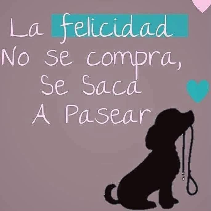 ManuSaenzVolvio's tweet photo. 💗 https://t.co/2iSNNoUehp