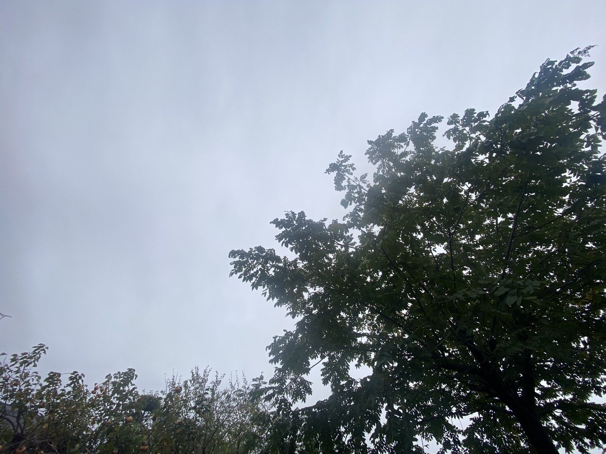 091031D's tweet photo. #いまそら
#イマソラ

日曜日の朝✨☁️✨ https://t.co/7s7McyJ3wz