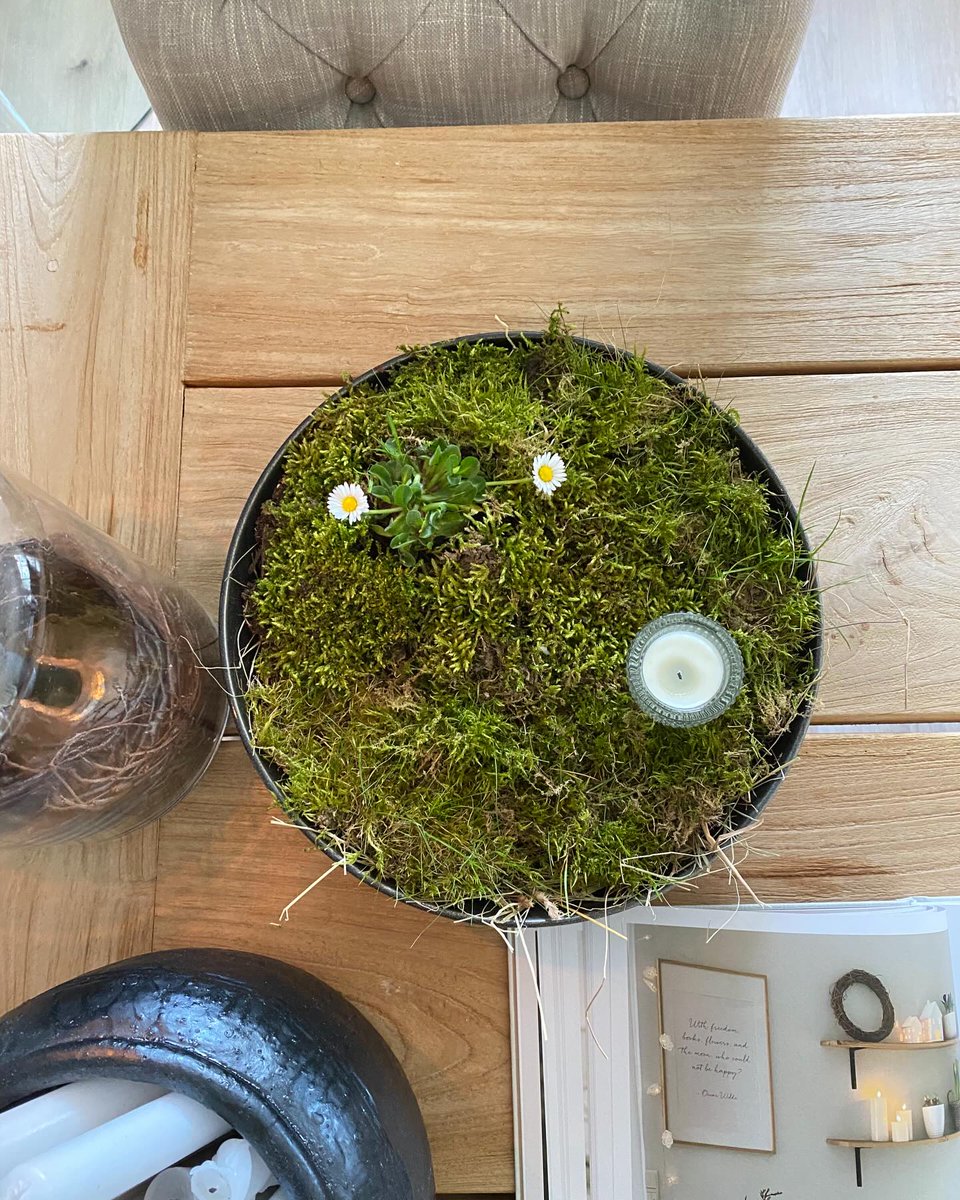 JoeannProvent's tweet photo. Hi hi, dear ones... yes, I’m still here 🤭 It’s been rather quiet around here, but time has been flying by this week. I can’t keep up with my appointments, the garden and Instagram 🙈

Not long ago, we were complaining that it was too cold—and now? https://t.co/OUBmVeLQhS