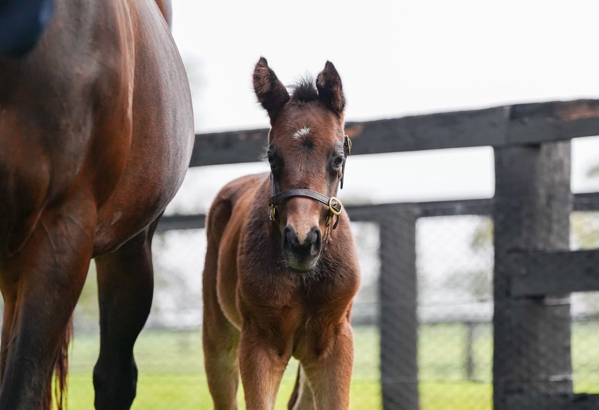 J_Walter23's tweet photo. Great images of Mini Winx ๐๐ #HowGood https://t.co/a1HwgRM9dr
