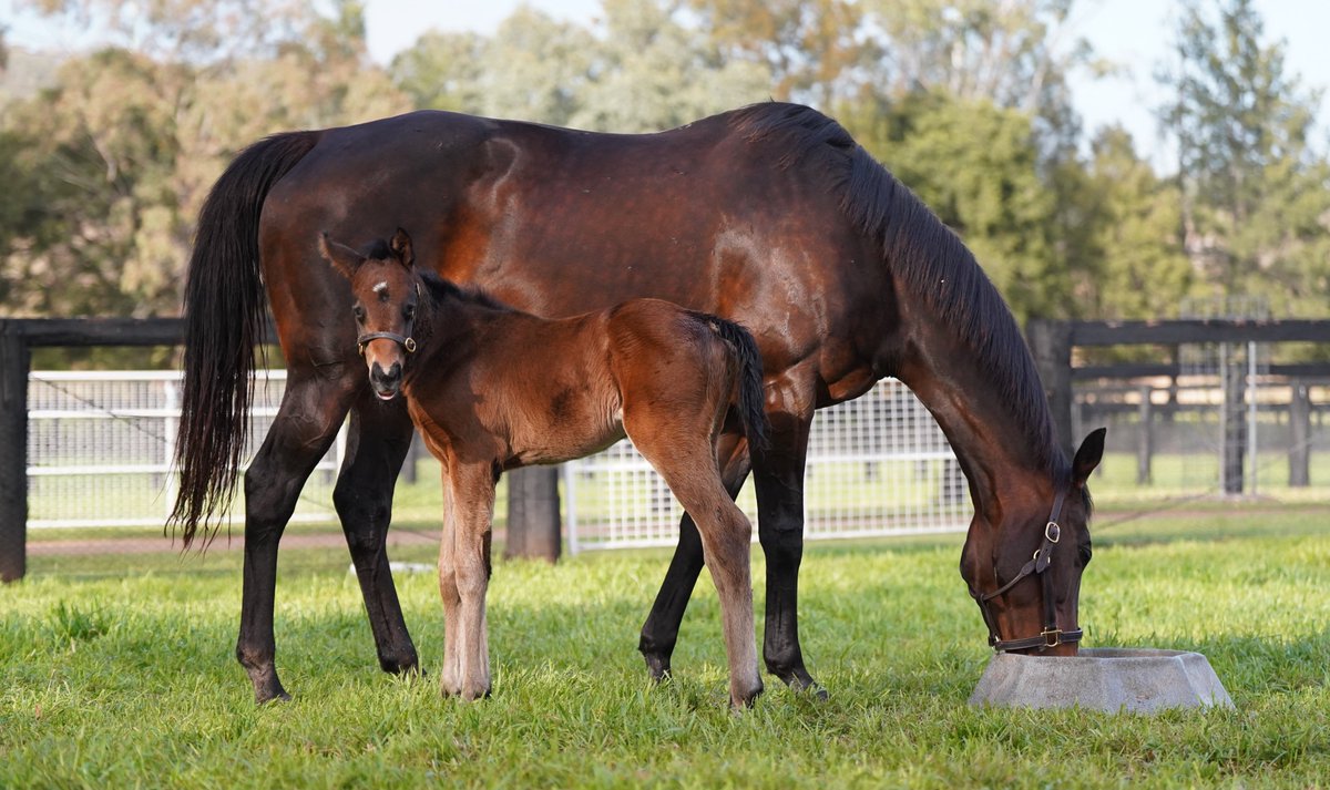 J_Walter23's tweet photo. Great images of Mini Winx ๐๐ #HowGood https://t.co/a1HwgRM9dr