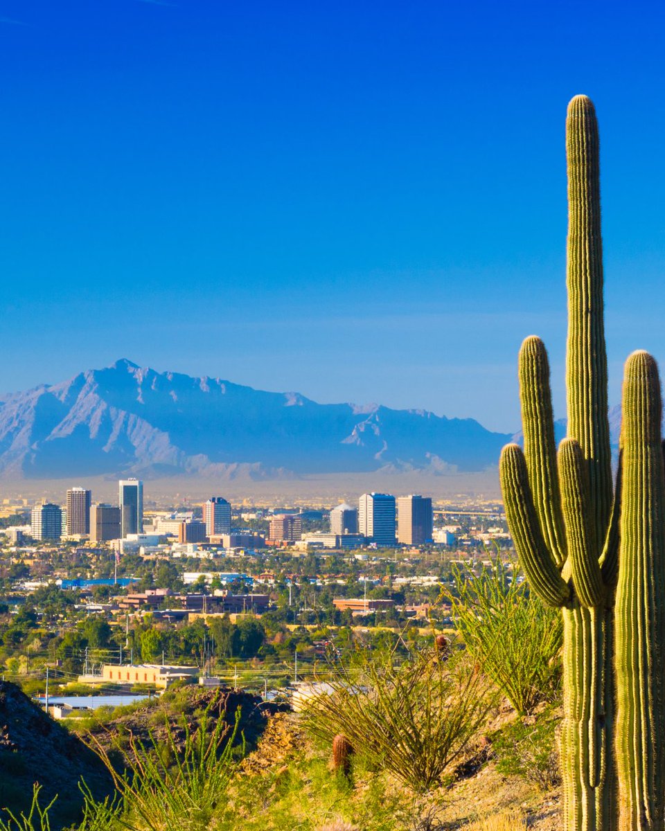 EmbassyPhoenix's tweet photo. Happy #WorldTourismDay! ๐
From desert sunsets to vibrant dining and endless outdoor adventures, Phoenix has a way of making every getaway feel unforgettable. ๐ต
Where will you explore next? Let us know in the comments. ๐
#ArizonaTravel #ExploreArizona #Travel #VisitPhoenix https://t.co/ug0ibp9OX9