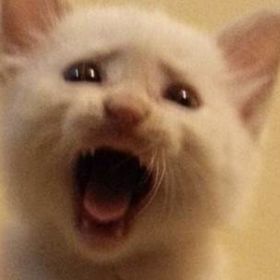 blastonbury1's tweet photo. @tomoshi_exe STOP, YOU'RE KILLING HER https://t.co/4h7Cdh4k6X