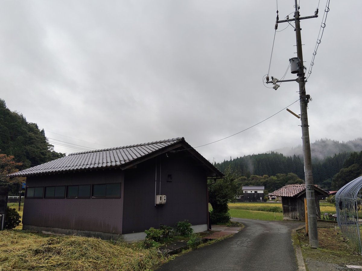 ARROWS315's tweet photo. おはようございます！

今日も天気はイマイチですが良い一日でありますように🍀*゜ https://t.co/wlDAoANIc6