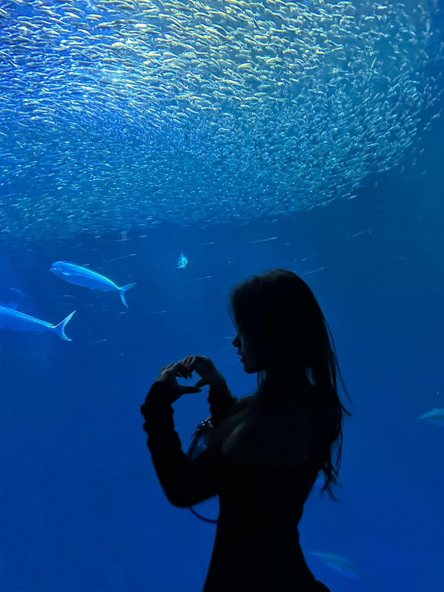 Alessandra0542's tweet photo. A quiet corner inside Monterey Bay Aquarium. 🌊💙 https://t.co/TYZHeOfzhZ