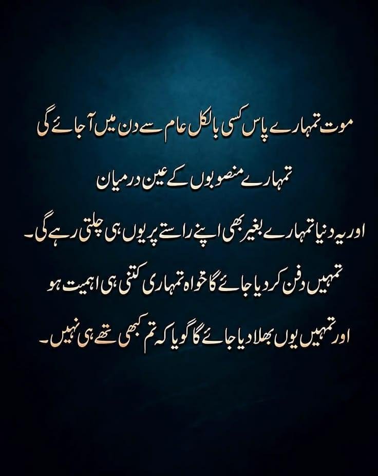 AishaSahilAdeem's tweet photo. https://t.co/LcX6Jg6Cql