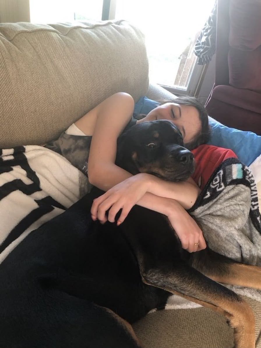 izabellifofa's tweet photo. Join my world of dog knotty fun and enjoy our exclusive k9 content get to fuck so hard🥵, ask for full length videos 🐶🍆🤗

Link in bio🔗
#dogs #K9 #USA https://t.co/xz9rhSY0no