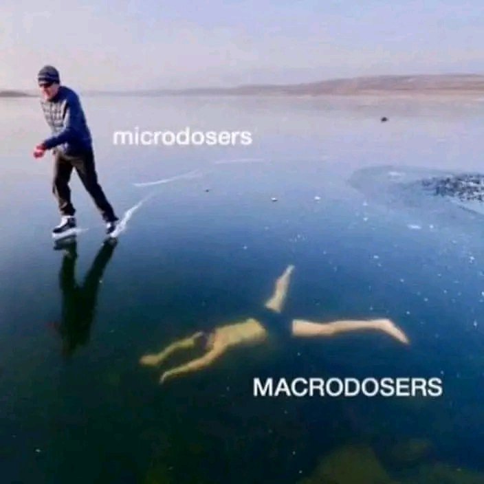 magicmuchroom1's tweet photo. Do you have a preference? https://t.co/AhWMRkplDh