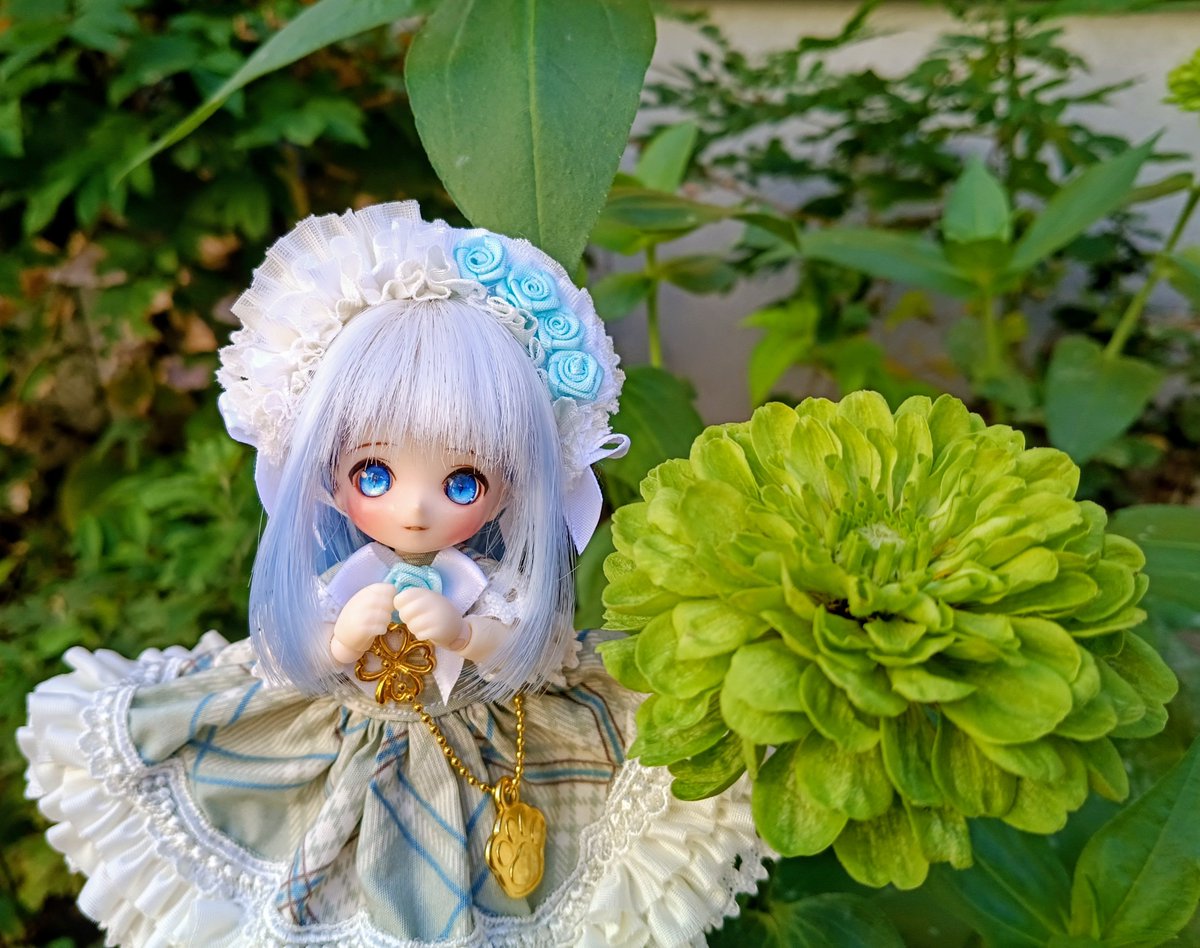 nemuinyo's tweet photo. #おはドル #うちのこかわいい #あまむす 
青とグリーンのドレスが可愛い😊 https://t.co/CU5DkK9sTY
