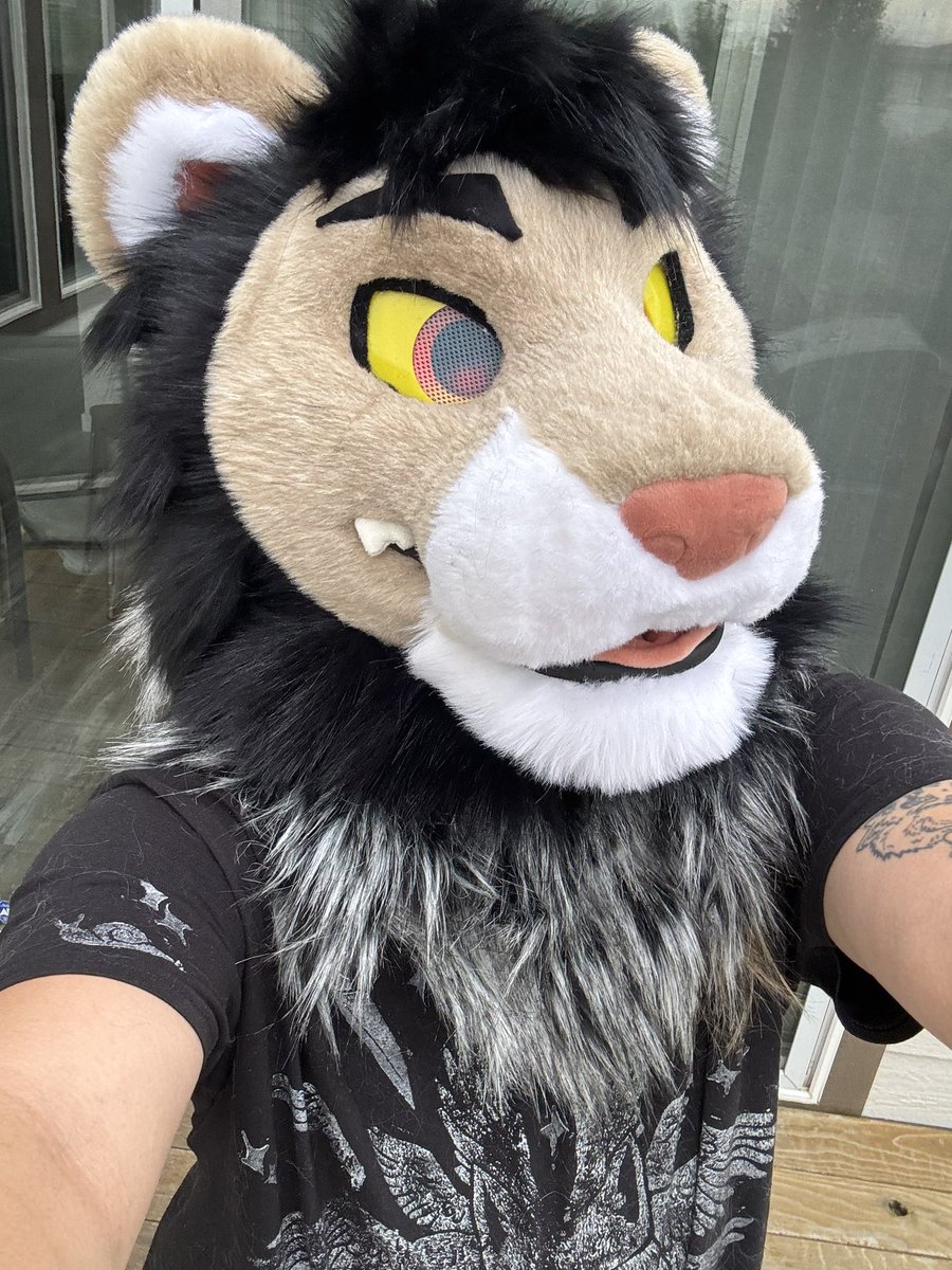 yappykiyay's tweet photo. LOST FURSUIT

Please share! If you have any info, I’ve linked down below the owners post. https://t.co/mdFm3ET6XD