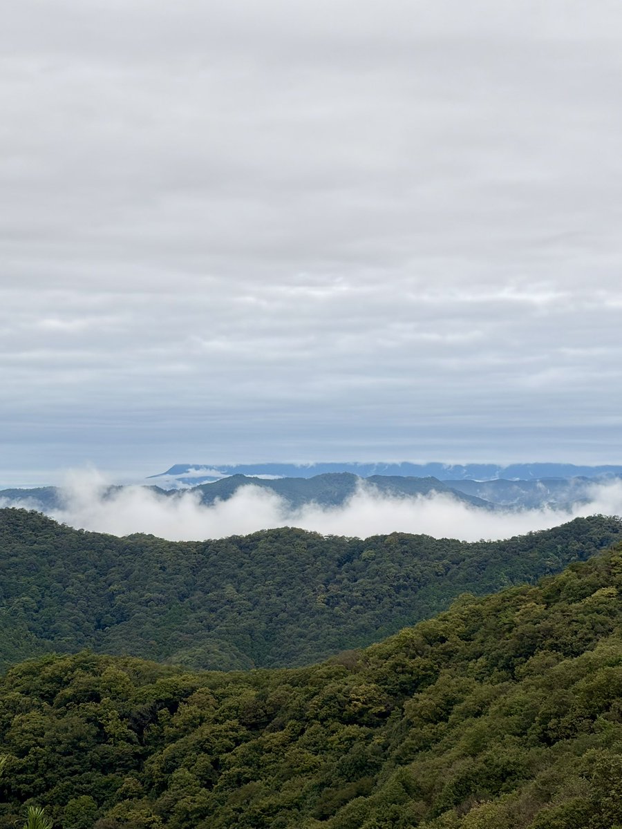 LUCK_IS_HERE's tweet photo. 久々に大小山。
山間に雲が棚引き、市街をのぞけば眼下にも雲。
高山の風情だわ。 https://t.co/Jhv37vQF4u