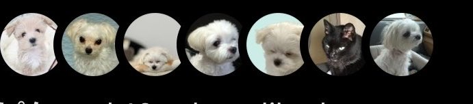 koykoy_koyuki's tweet photo. 動物垢あるあるだと思うけど通知が可愛い https://t.co/1U33J1ESjY