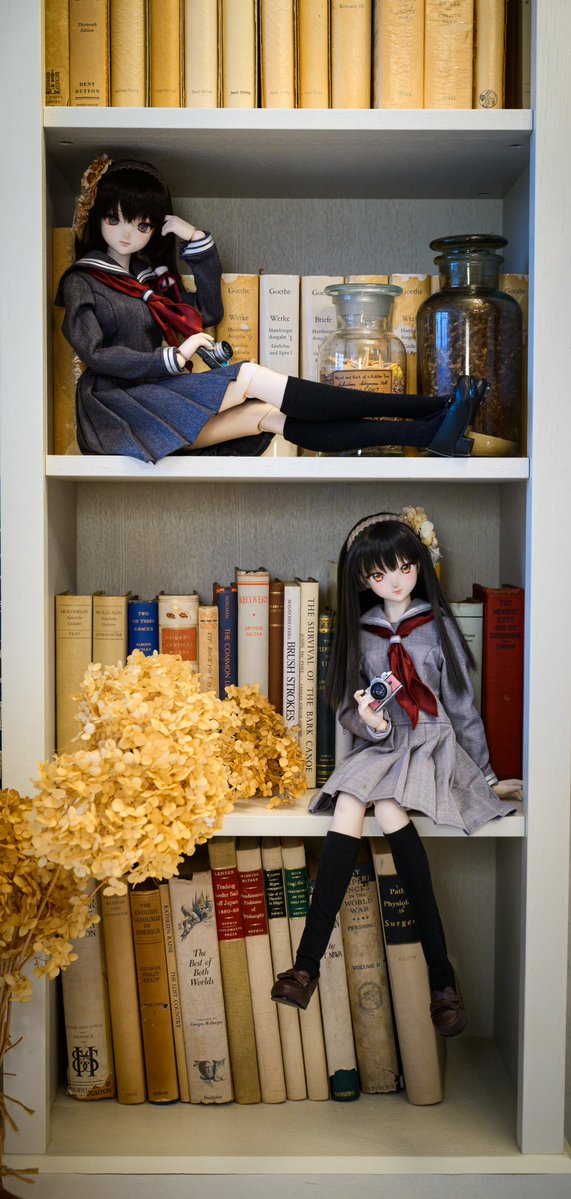 shiranui_typeD's tweet photo. 本棚📚

#Mistypia
#えびてん撮影会 https://t.co/em9QF9pLPT