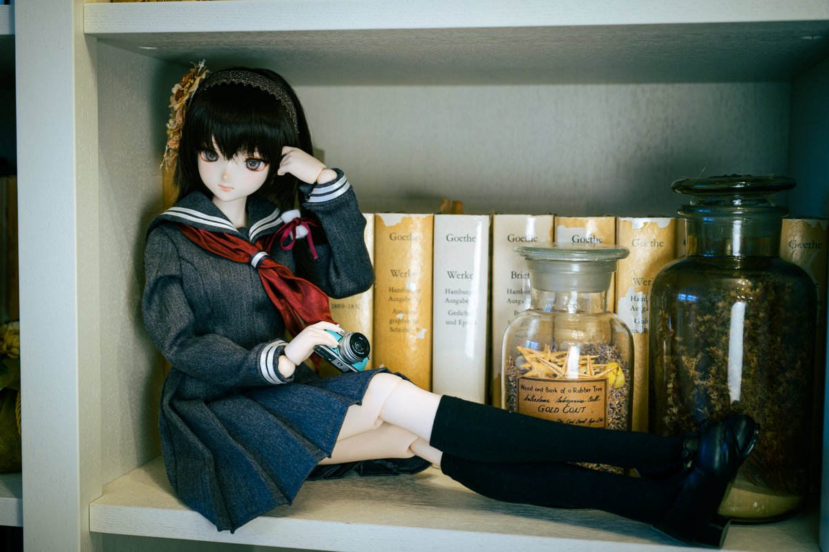 shiranui_typeD's tweet photo. 本棚📚

#Mistypia
#えびてん撮影会 https://t.co/em9QF9pLPT