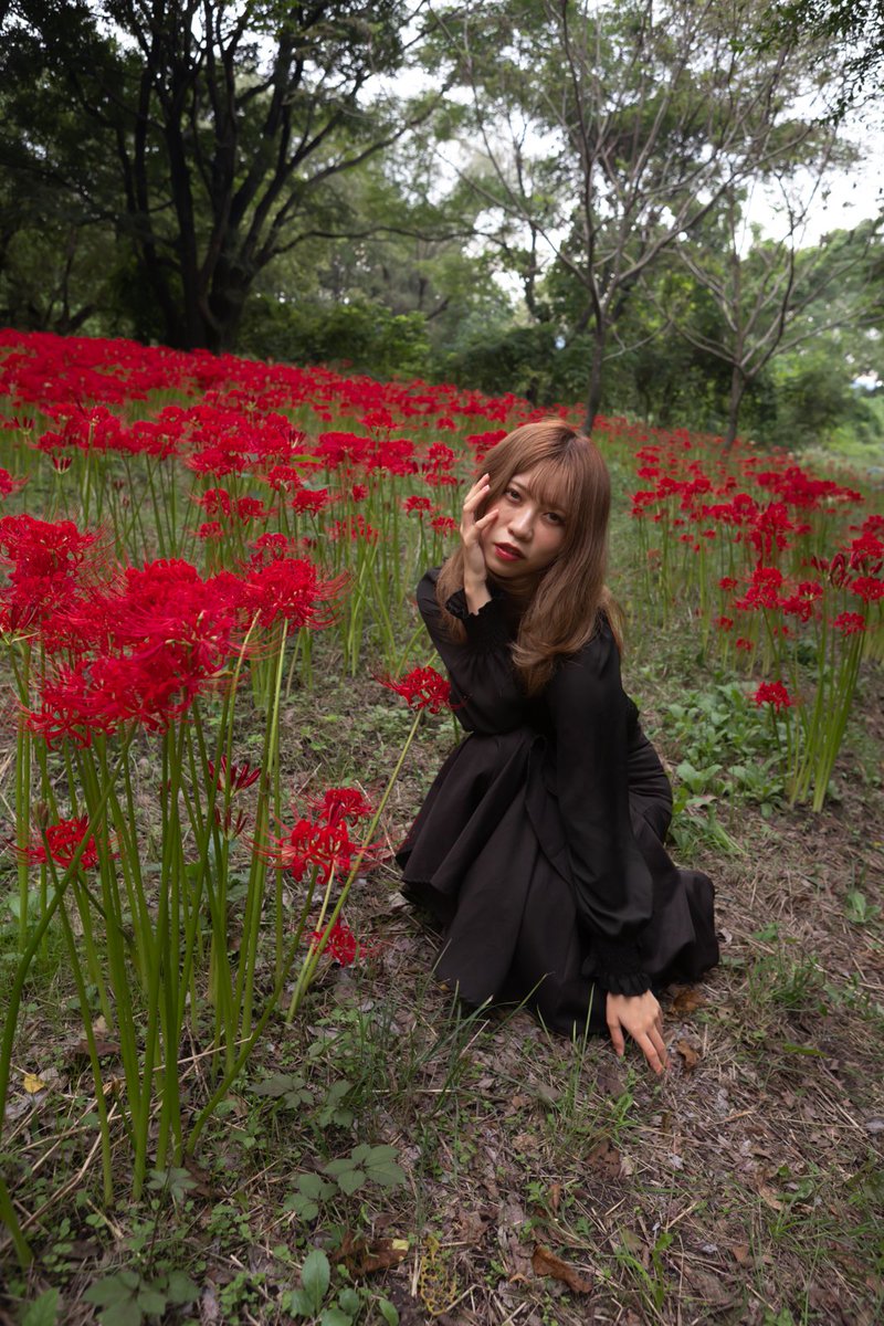 tainophotoroom's tweet photo. なつき さん「Autumn has arrived ～蚊に喰いつかれた日～」⑤

#なつき 被写体垢 (@ntk_23official)
#リクエスト撮影
#CANON #単焦点が好き
#ポートレート #portrait
#ポートレート好きな人と繋がりたい
#名古屋ポートレート
#ファインダー越しの私の世界 https://t.co/PGGu0d8Nak