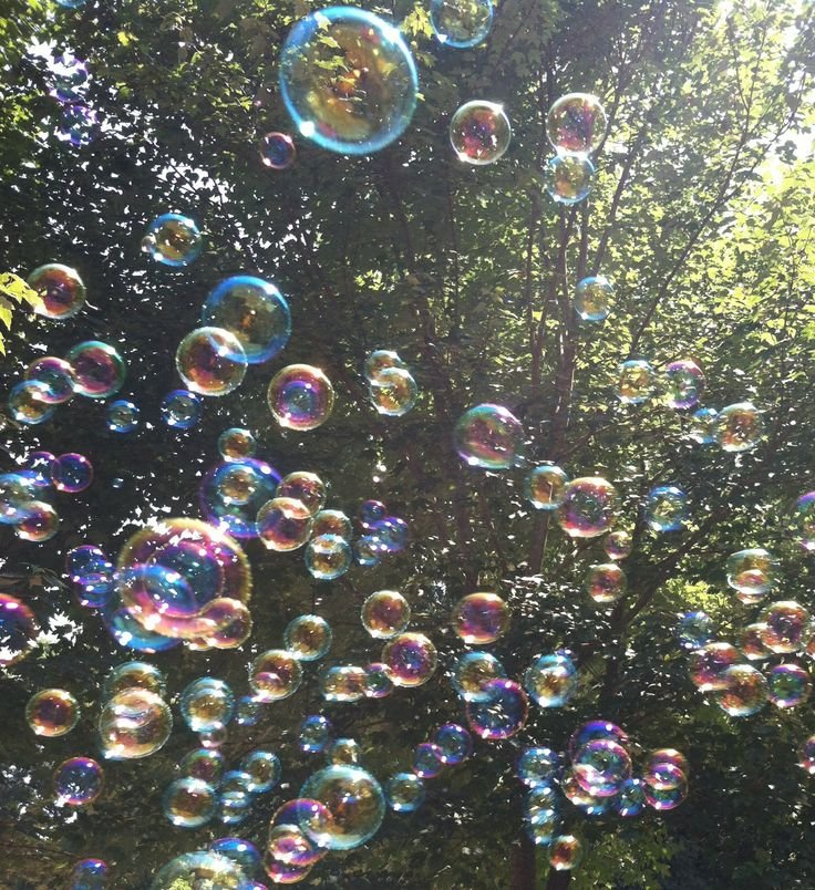 purelivn's tweet photo. bubbles https://t.co/rVOANNe7Uq