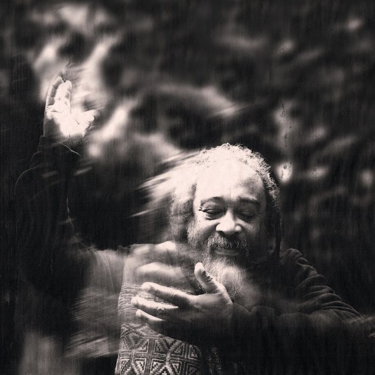 vinlandwisdom's tweet photo. “Ego is a ghost who is terrified of dying.”

~ Mooji https://t.co/4u7BMjnaR2