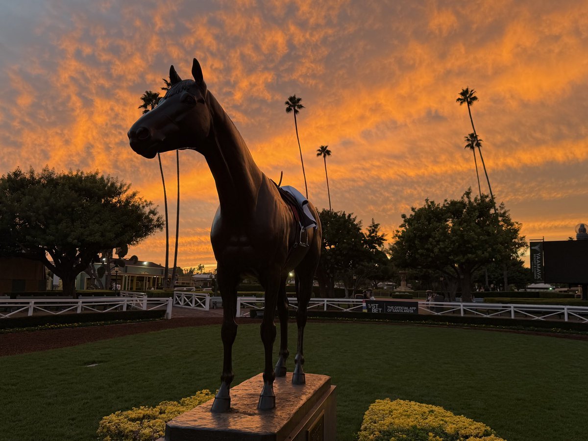 NeverSettleTV's tweet photo. @santaanitapark no filter https://t.co/OP78FrEvRQ
