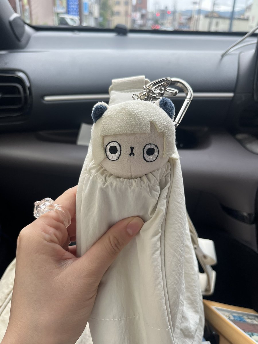 mm17166's tweet photo. 前使ってたカバン、壊れたから新調したら進化してた
これでライブ中も安心だね、あにょ😌 https://t.co/ZvuK2itZlw