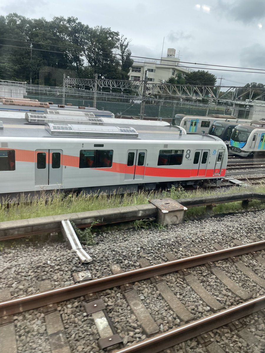Yuniho13014460's tweet photo. 神聖四文字初めて見た！！ https://t.co/qFVVCtxDCt