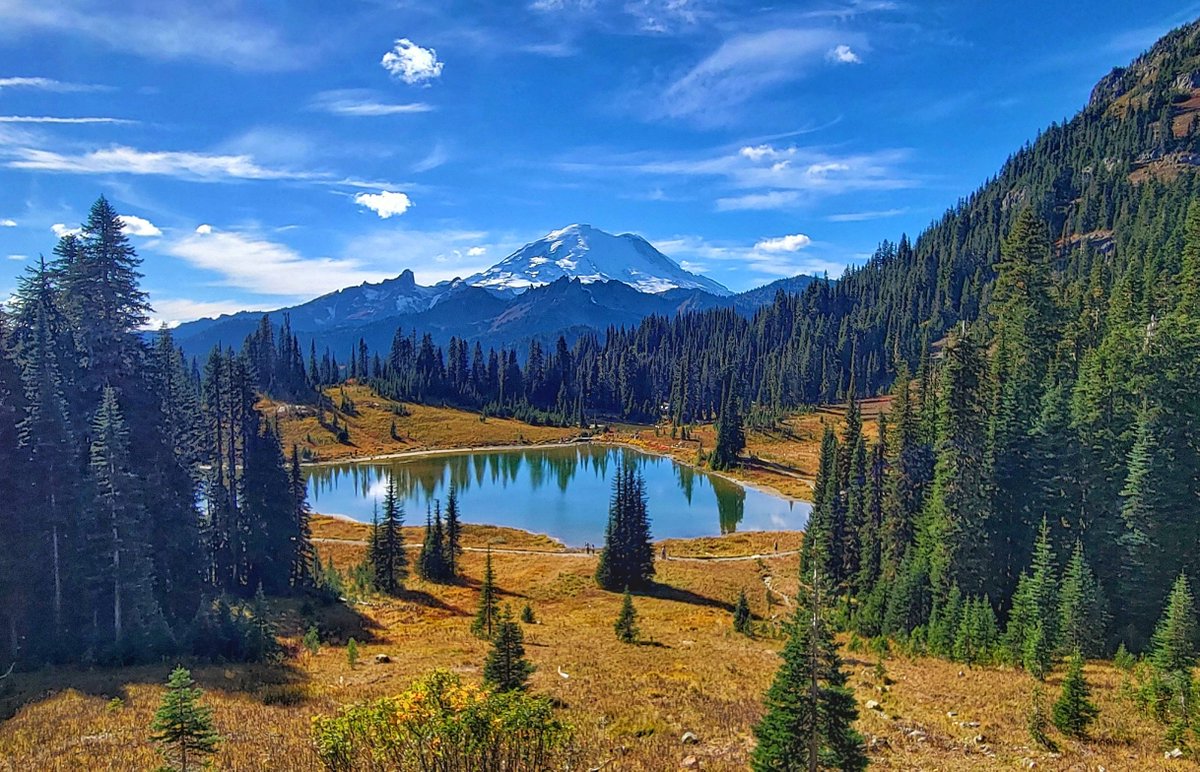 HeathirMc's tweet photo. Tipsoo Lake in the Mount Rainier Nationional Park. Today near Chinook Pass on 410!!! #themountainwasout #mtrainier
#tipsoolake #WAwx #pnw #fallcolor https://t.co/5xHhwCMJU6