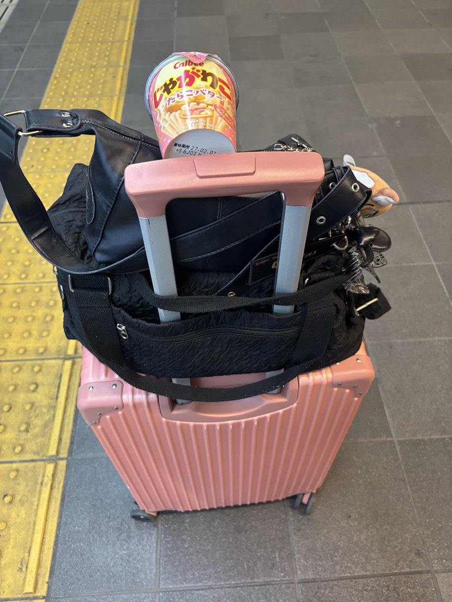raika_00__'s tweet photo. 安定の荷物の多さとじゃがりこ

今回はきゃりーデカくなりました✌️ https://t.co/F6iHDmU1mF
