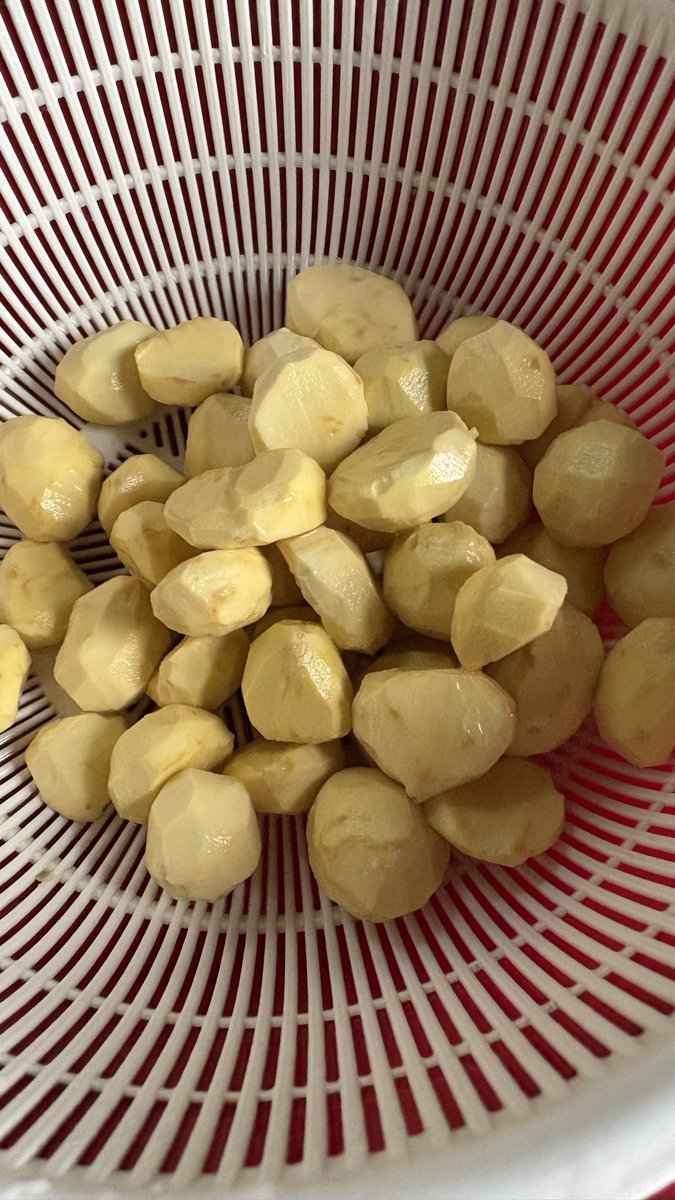 mo2hatsukune's tweet photo. 🌰 https://t.co/cIPjYk3hBk