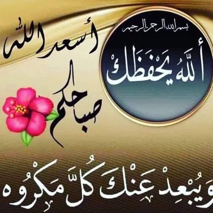 aldrhmwd1's tweet photo. https://t.co/7YfpFzO8VB