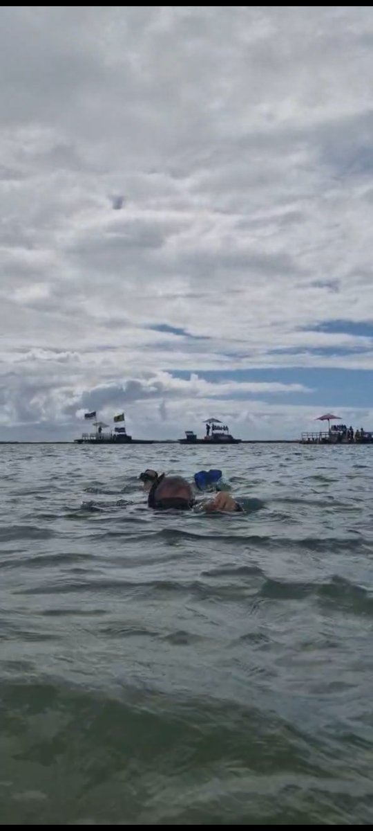 rildonobrega's tweet photo. Porto de Galinhas - Ipojuca -PE https://t.co/O9w2kN2cZA