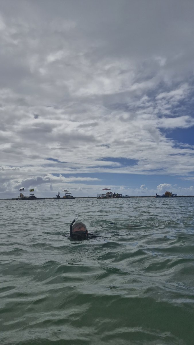 rildonobrega's tweet photo. Porto de Galinhas - Ipojuca -PE https://t.co/O9w2kN2cZA