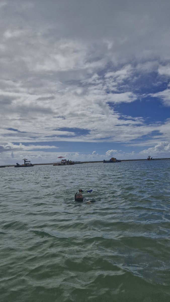 rildonobrega's tweet photo. Porto de Galinhas - Ipojuca -PE https://t.co/O9w2kN2cZA