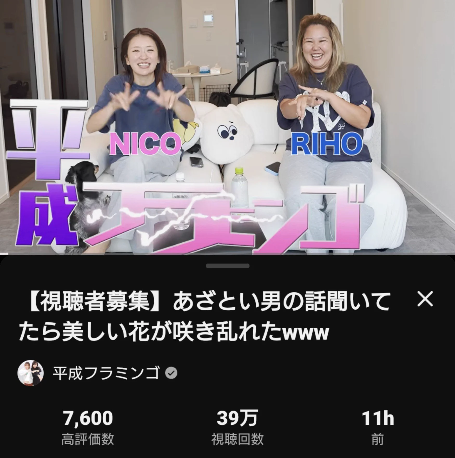 フラミンゴ様おまとめ✨ HEART🦩平成フラミンゴ沼🤟 on X: 