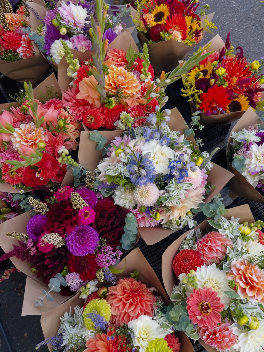 dreamyflowerrs's tweet photo. i love flowers https://t.co/flP56aWg4y