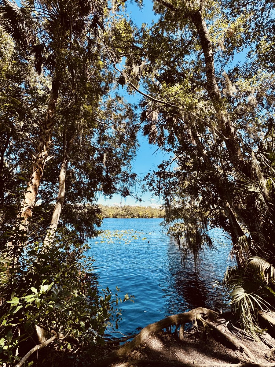 dolbyl's tweet photo. "I go to Nature 🍃to be soothed and healed, and to have my senses put together." — John Burroughs #optoutside #getoutside #lovefl #nature #naturephotography #floridatrails #nationalpubliclandsday https://t.co/X4m7YlP1kZ