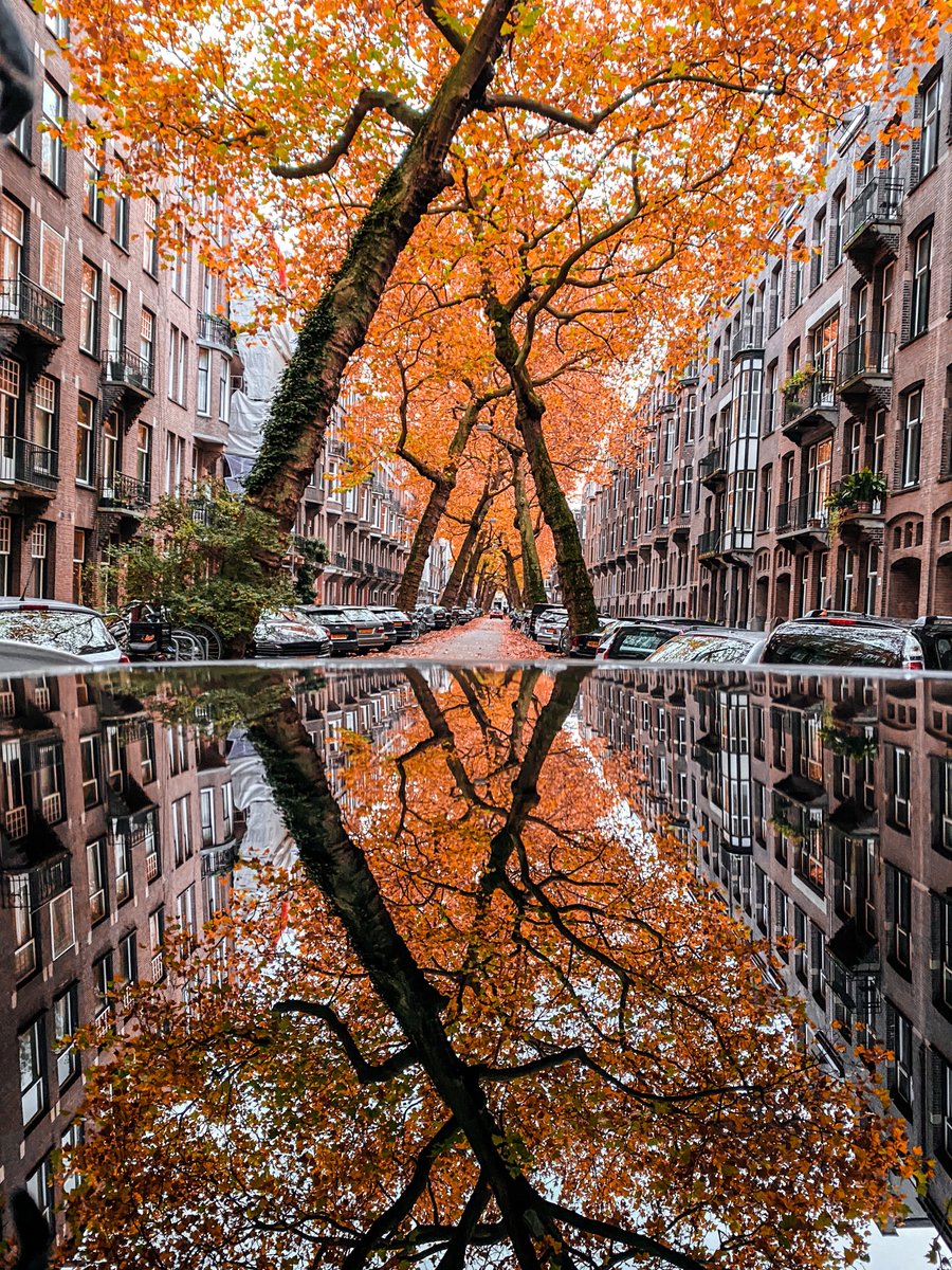 echoesofworld's tweet photo. Autumn in Amsterdam https://t.co/9clgUUKDkX