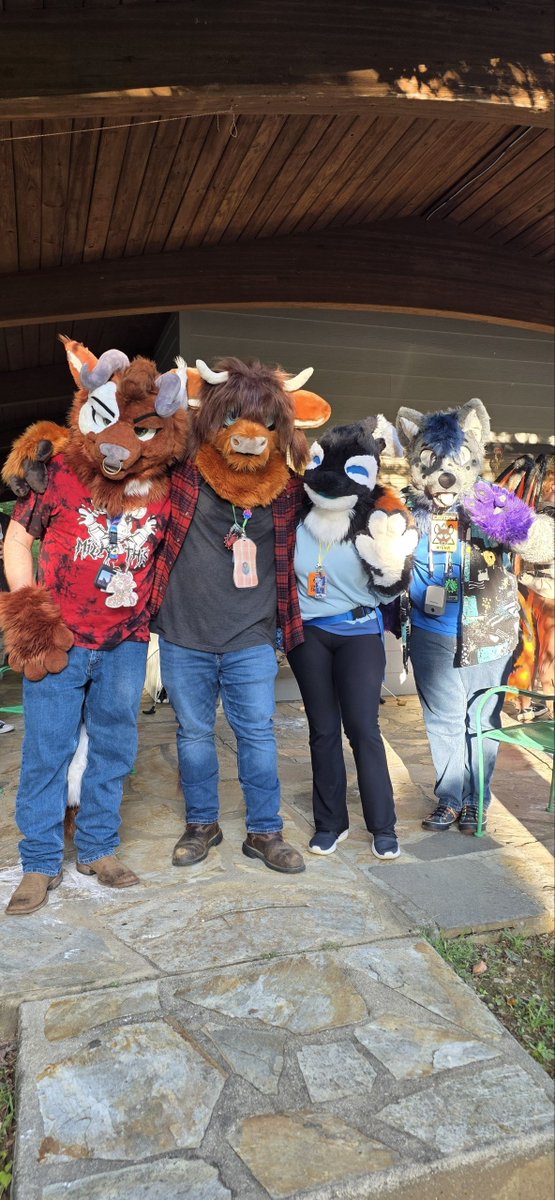 StanHighland's tweet photo. #furrytakeover #fto #fto2026 #furry #fursuit https://t.co/kBrUT6Onp8