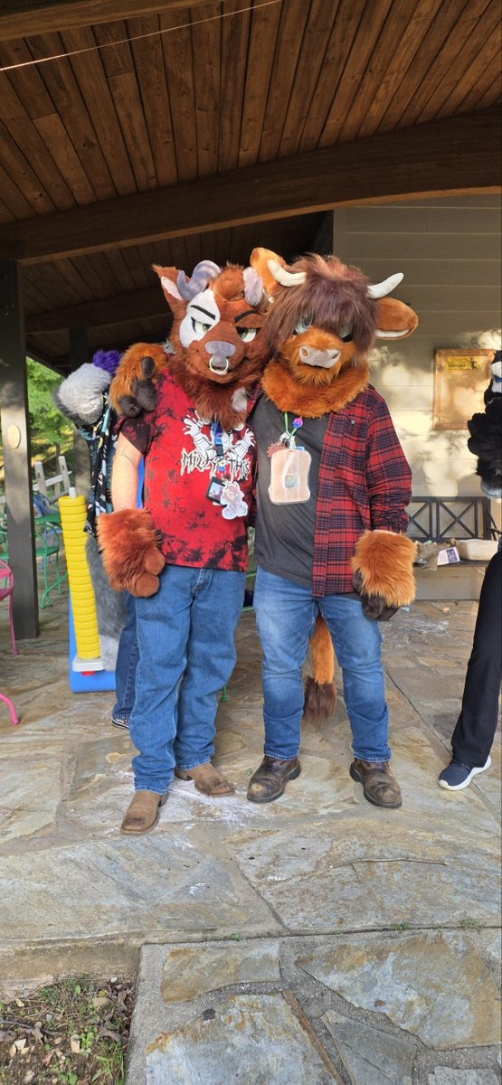 StanHighland's tweet photo. #furrytakeover #fto #fto2026 #furry #fursuit https://t.co/kBrUT6Onp8