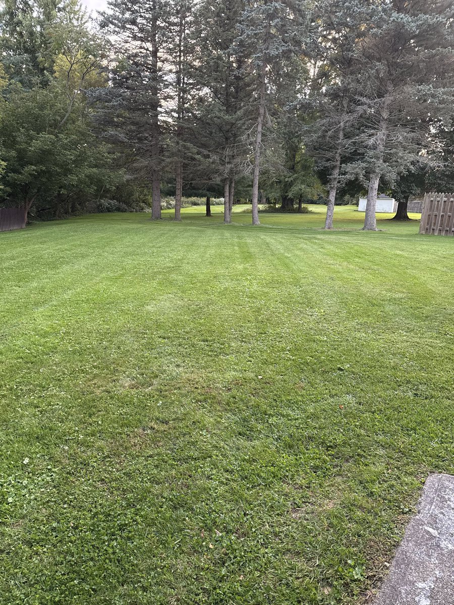 buttonholed's tweet photo. Chillin’ in my backyard 

Finished mowing ~ https://t.co/Z2yTKigDQi