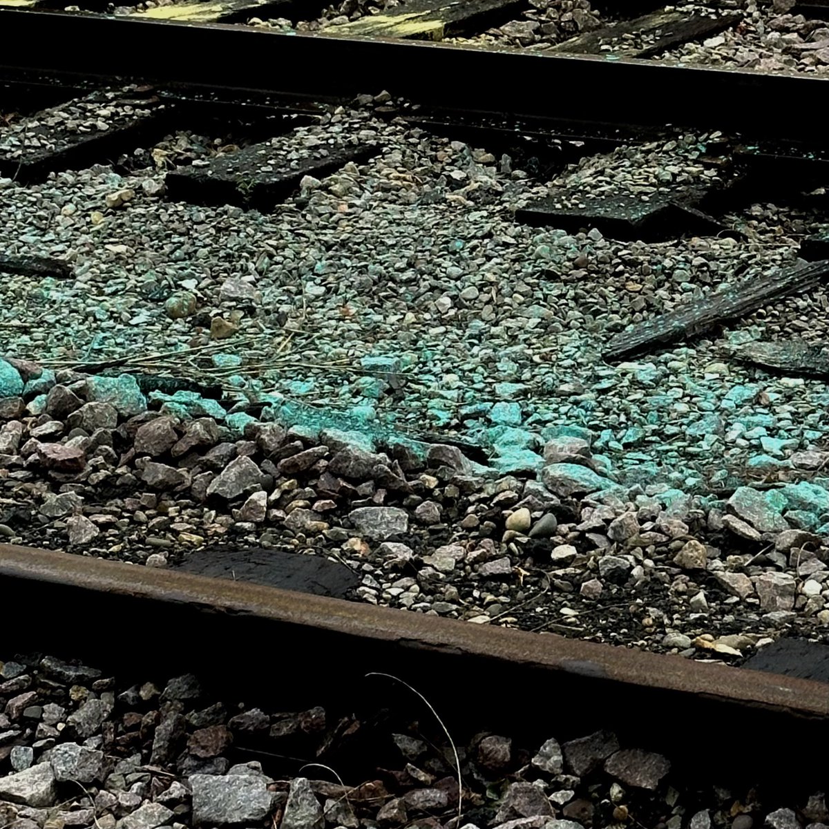 birdbrawns's tweet photo. Did someone drop their turquoise https://t.co/mA5e9xRfZg