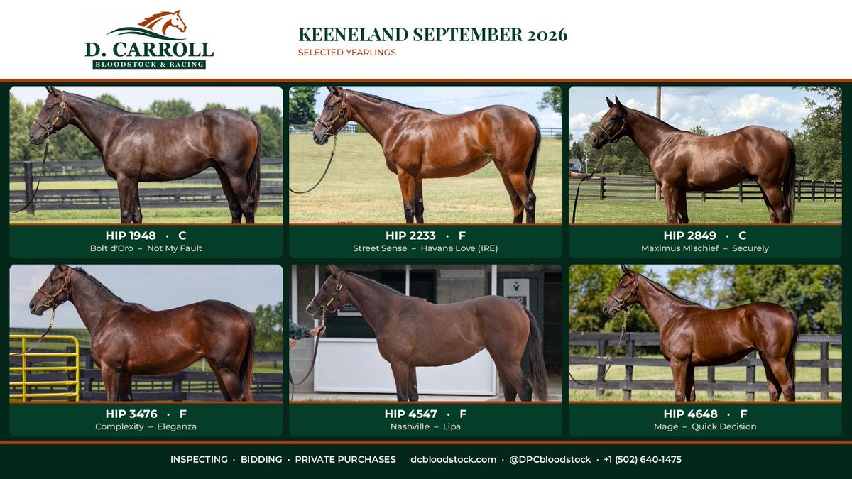 DPCbloodstock's tweet photo. Today we wrapped up @keenelandsales! It was another relentless sale put on by Keeneland with some of the best stock we have seen in recent years. 
Coming away with six total purchases for some great clients & friends. 
Thank you, to each and every consigner, groom, owner, breeder, vendor, and everyone that made this great sale happen. 
Hoping to see you from the winner circle ⭐️

Next up @FasigTiptonCo October Yearling Sale.