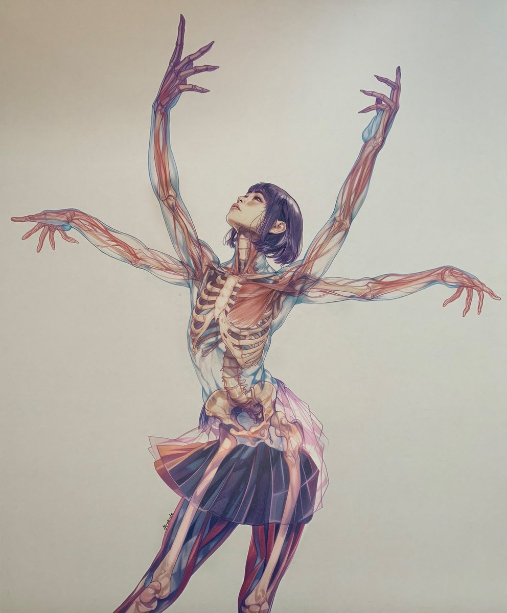 solisolsoli's tweet photo. Anatomical Figures · Jameliorate https://t.co/0tFe56fSqt