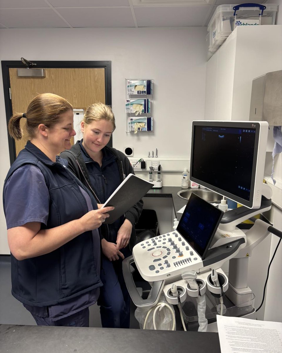 KizzyEastep7's tweet photo. What Veterinary Nurses do
• Monitor anesthesia
• Recover patients
• Run blood tests, smears, and urinalysis
• Collect blood samples
• Care for medical and critically ill patients
• Take dental X-rays and radiographs
• Conduct nurse https://t.co/KjbtPFCAHU