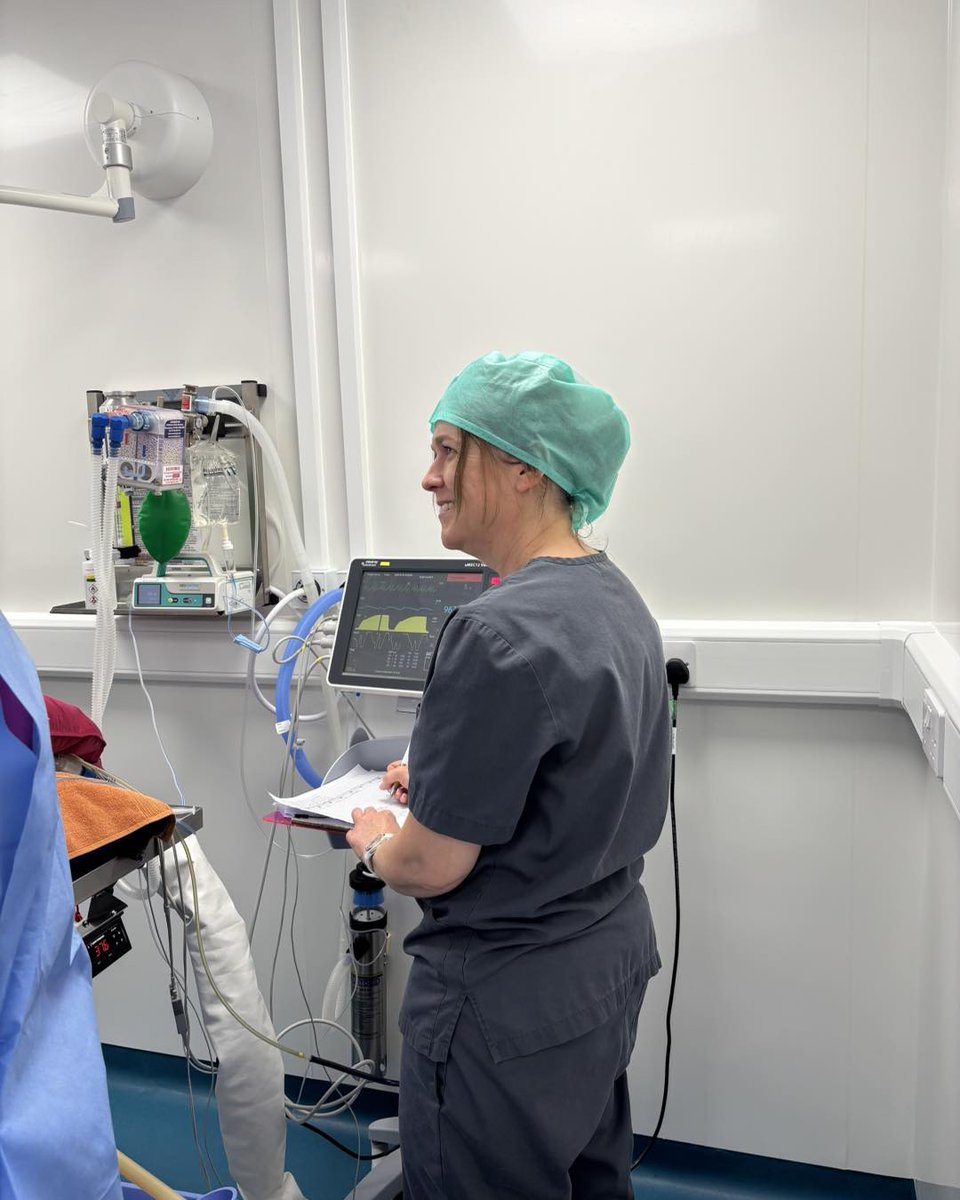 KizzyEastep7's tweet photo. What Veterinary Nurses do
• Monitor anesthesia
• Recover patients
• Run blood tests, smears, and urinalysis
• Collect blood samples
• Care for medical and critically ill patients
• Take dental X-rays and radiographs
• Conduct nurse https://t.co/KjbtPFCAHU