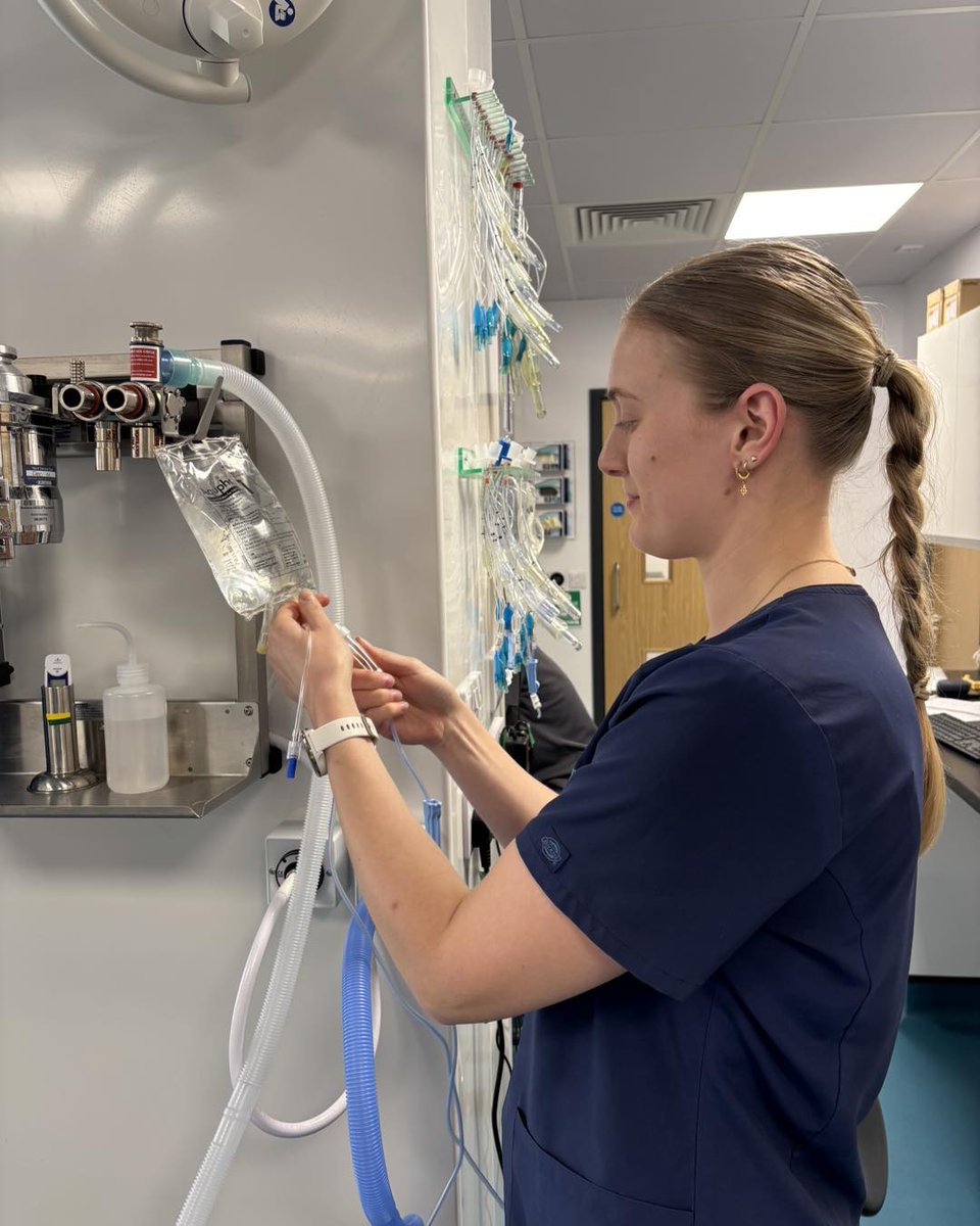 KizzyEastep7's tweet photo. What Veterinary Nurses do
• Monitor anesthesia
• Recover patients
• Run blood tests, smears, and urinalysis
• Collect blood samples
• Care for medical and critically ill patients
• Take dental X-rays and radiographs
• Conduct nurse https://t.co/KjbtPFCAHU