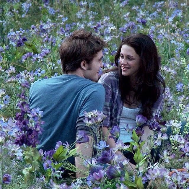 archivetwilight's tweet photo. i'm sorry i will not shut up about this https://t.co/2ciBYm6fEW